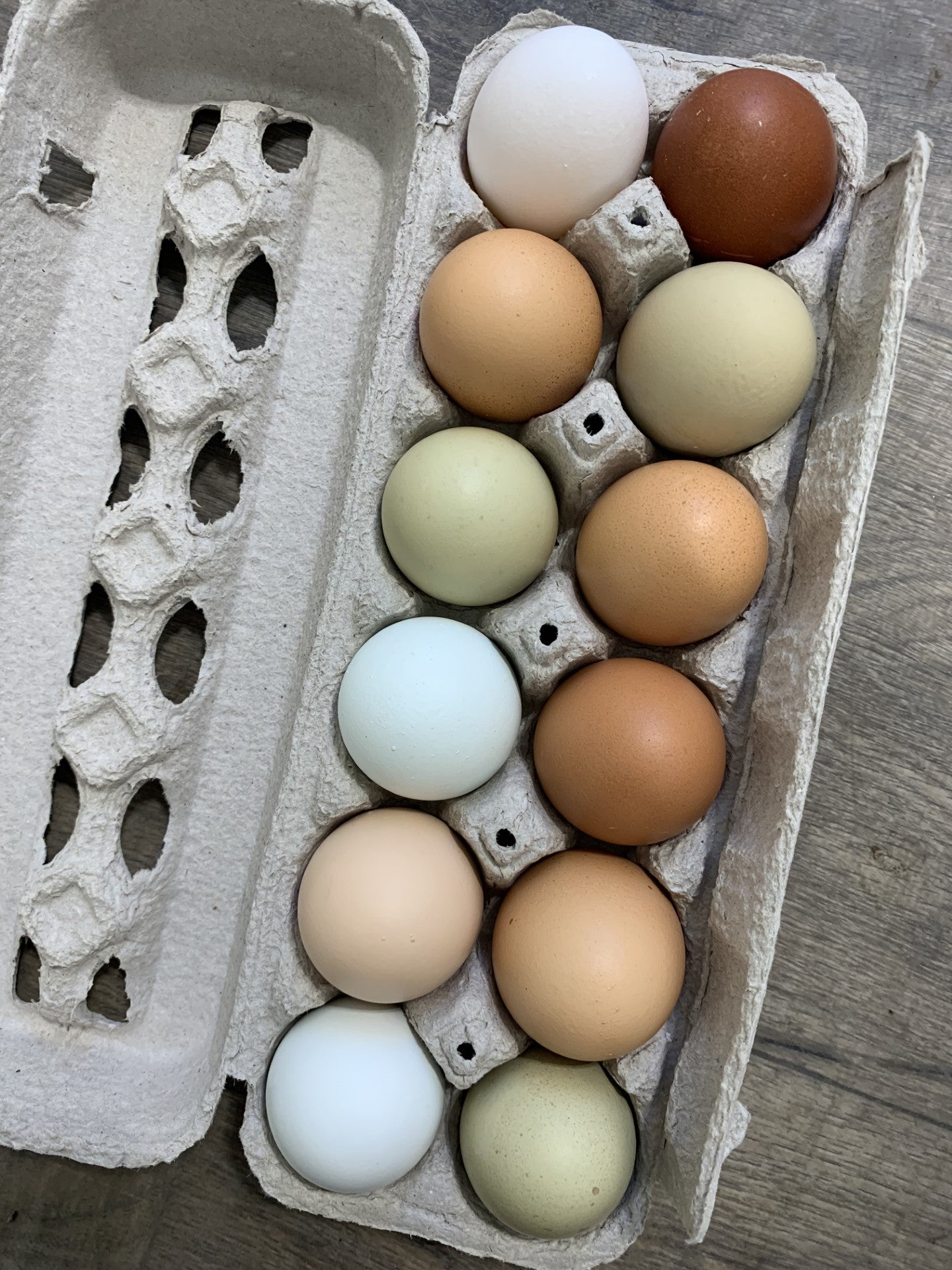 Douzaine d’œufs colorés ramassés à la ferme